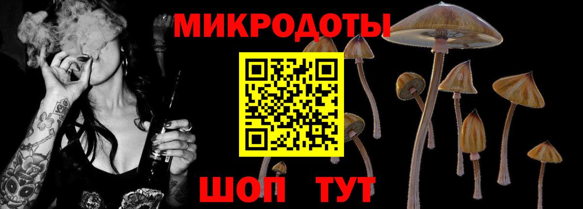 Галлюциногенные грибы Cubensis Елабуга