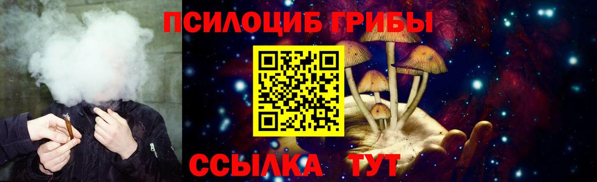 Елабуга  Псилоцибиновые грибы мухоморы  Вход с VPN 