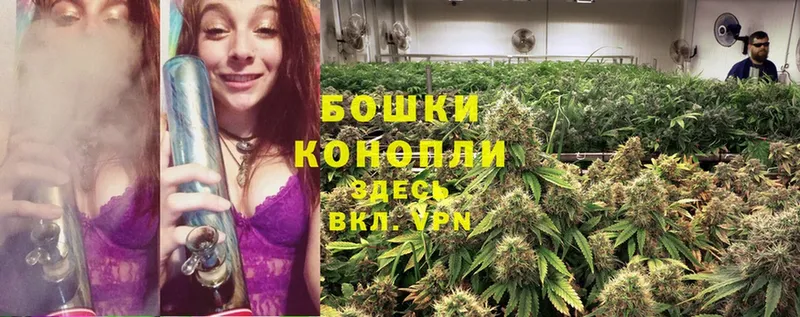 продажа наркотиков  Елабуга  МАРИХУАНА LSD WEED 